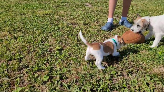 Джим Кэрри, самый красивый мальчик! смотреть онлайн