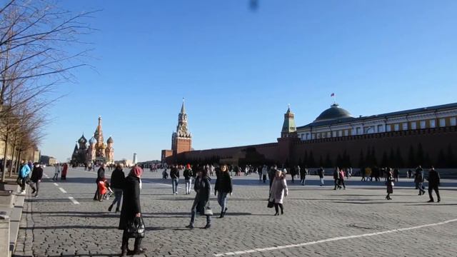 Первые первоцветы в Москве смотреть онлайн