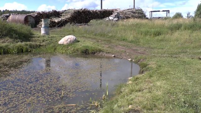 Первая проба камеры.MTS смотреть онлайн