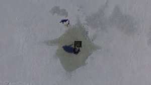 Ловля РАКОВ зимой.Ведро раков из подо льда!!!Мы знаем где раки зимуют!!!