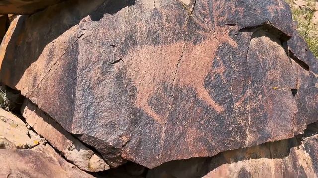 Неизвестные петроглифы Жетысу смотреть онлайн