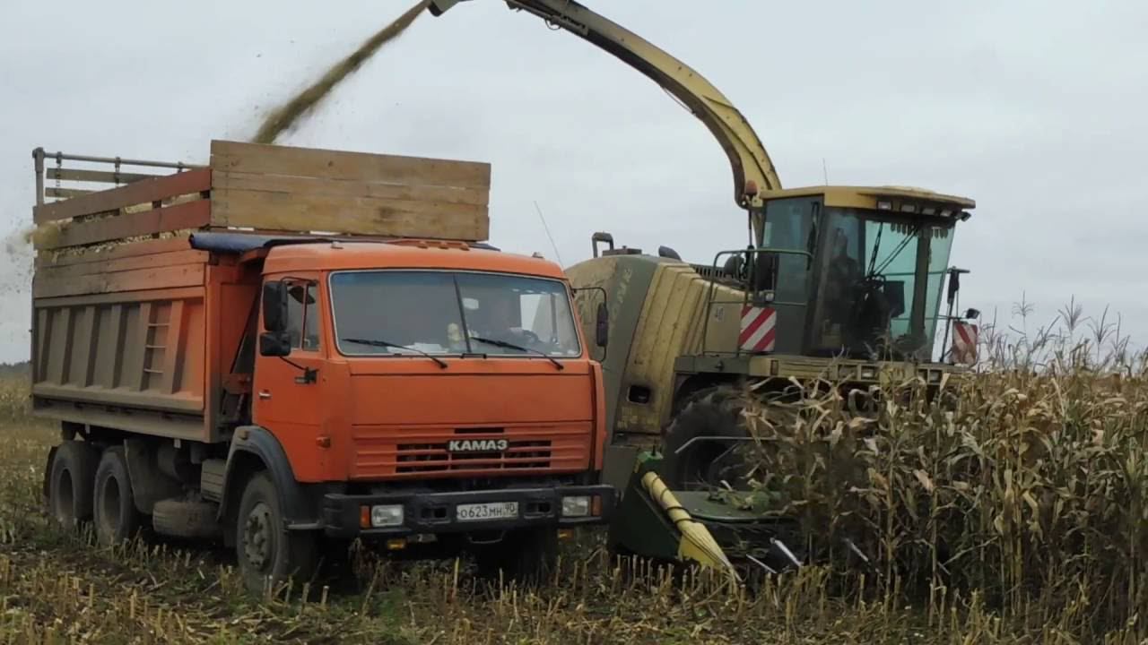 Уборка кукурузы