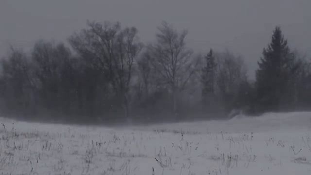 Вьюга. смотреть онлайн