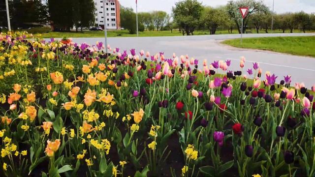 Relaxing Video Drone / Salaspils (Latvija) - Kirchholm 2021 part 1 / #drone #Video #Latvija смотреть онлайн