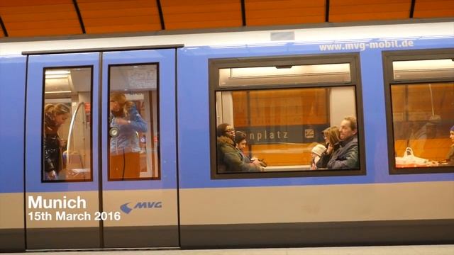 Black Forest / White Rose