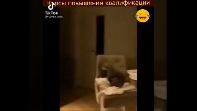 курсы повышения квалификации смотреть онлайн