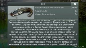 Как ловить сома в игре my fishing world