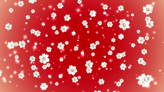 Футаж Белые цветы и звездочки на красном фоне. Фон для монтажа смотреть онлайн