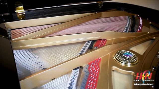 Chopin Nocturne Opus No. 9, Petrof 6'10"- Pasat - Played By Renee Vanasse смотреть онлайн