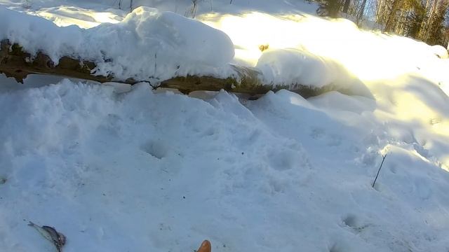 Зимняя рыбалка в ХМАО- Югре! смотреть онлайн