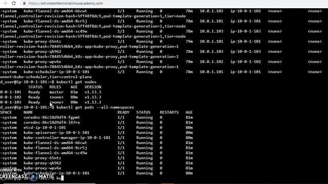 Exploring the Kubernetes Cluster via the Command Line смотреть онлайн