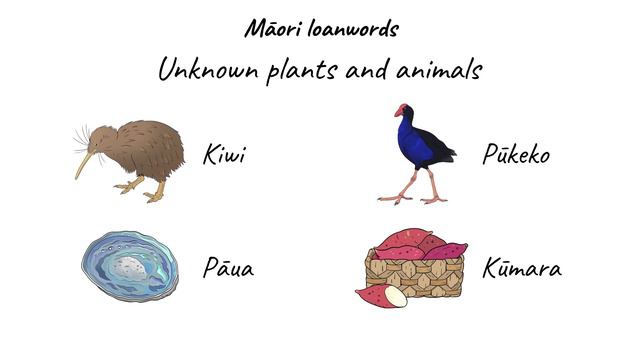 Why do languages borrow words? смотреть онлайн