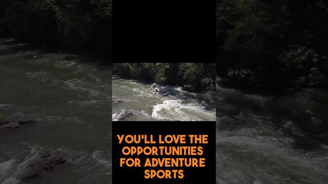 Discover the Ultimate Adventure in Uganda!! смотреть онлайн