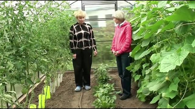 Учимся выращивать урожай по природной агротехники. смотреть онлайн