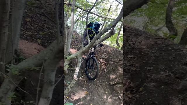 Коджоринг это... #patrekeymtb #велосипед #даунхилл #велоспорт #антонрумянцев #горныйвелосипед #mtb смотреть онлайн