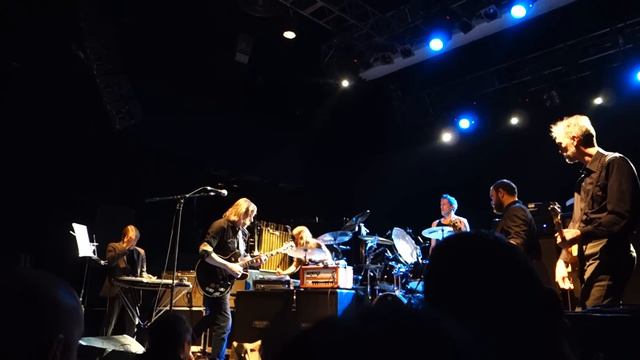 SWANS 