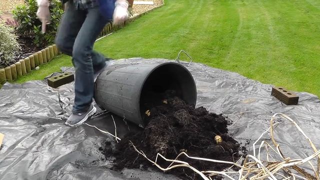 Potato Reveal - Oh no! It's the Sequel. смотреть онлайн