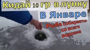 В январе кидаю мучных червей в лунку. Активатор клева своими руками. прикормка для рыбалки зимой