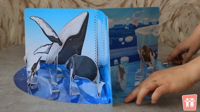 Макет "Арктика" смотреть онлайн