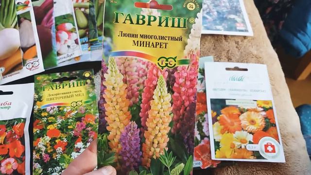 Семена цветов 2019 почтой. смотреть онлайн