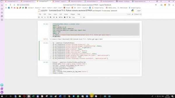 Python Практический. Автоматизация браузера Python Selenium, Скрапинг, скачивание выписок ЕГРЮЛ
