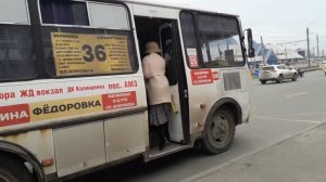 автобус паз 32054 м813та174 маршрут 36