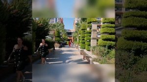 Dizalya palm garden ( part 1)