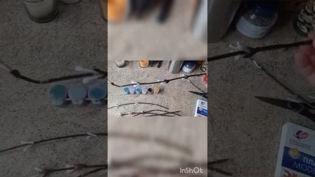 "Букет из вербы" мастер-класс мастерим ветку вербы из подручного материала смотреть онлайн