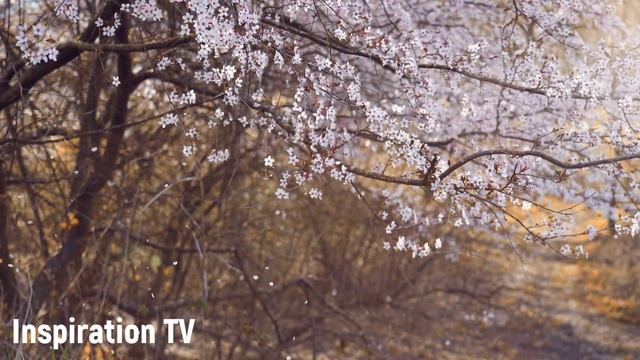 Может ли помощь людям навредить смотреть онлайн