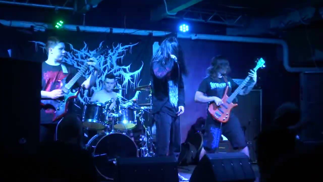 Insect Inside (Ростов 2022) смотреть онлайн