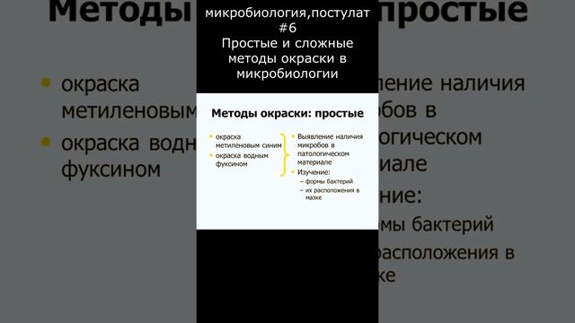 Микробиология, постулат #6 Простые и сложные методы окраски в микробиологии #shorts смотреть онлайн