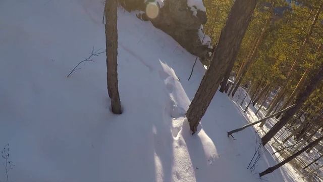 Изюбрь на отстое, охота с собаками, сезон 2020 смотреть онлайн