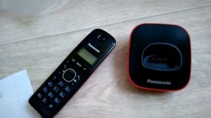 Радиотелефон PANASONIC KX-TG1611RUH Видеоотзыв (обзор) Марии