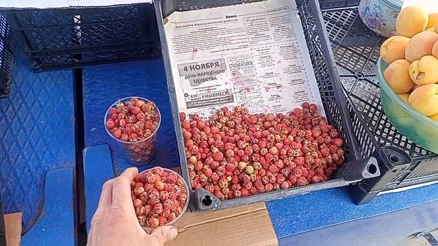 Хвалынская вишня на русском рынке г.Сызрань. Наша лавка . смотреть онлайн