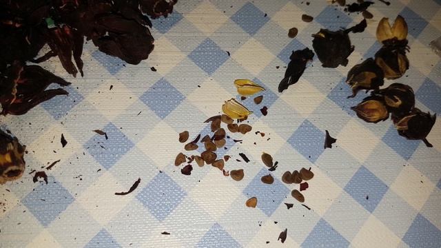 Поиск семян каркаде смотреть онлайн