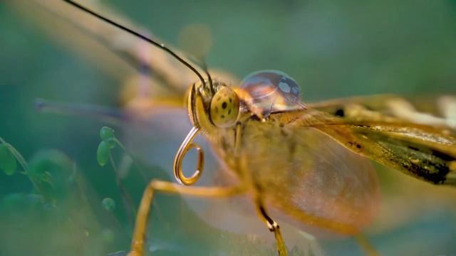 Доброе утро! смотреть онлайн