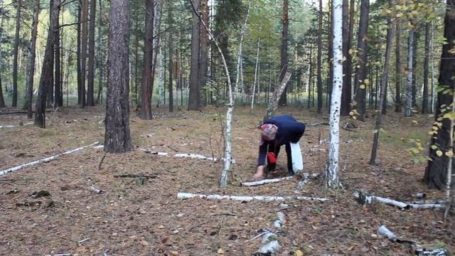 ОСЕННИЙ ЛЕС. ПОХОД ЗА ГРИБАМИ. смотреть онлайн