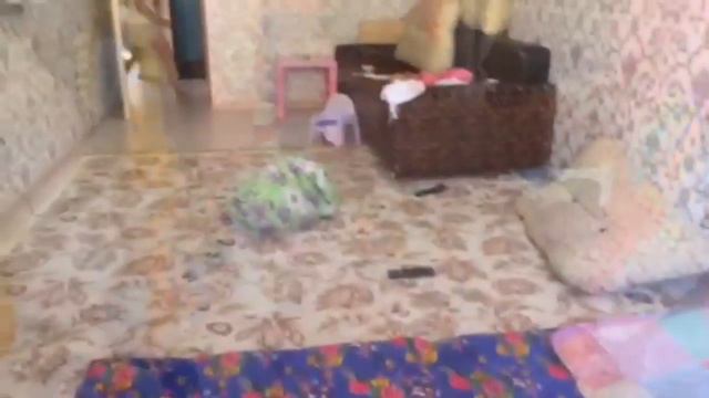 ТИПЫ Людей когда Остаются ДОМА! смотреть онлайн