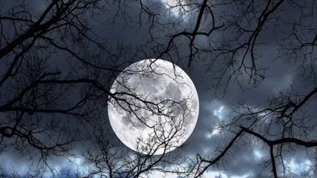 Ноябрьская грусть...