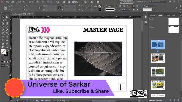Adobe InDesign for Beginners | Display Performance | InDesign cc in Urdu & Hindi Basic Course смотреть онлайн