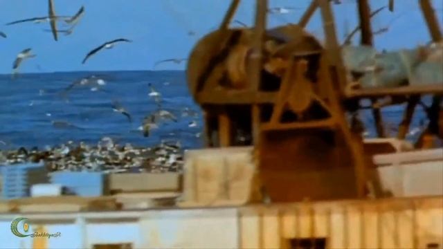 Язвинские Андрей и Наташа - Рано Уходит Лето смотреть онлайн