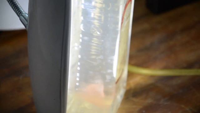 продолжение про автошприц (первые результаты после 5 дней инокуляции) смотреть онлайн