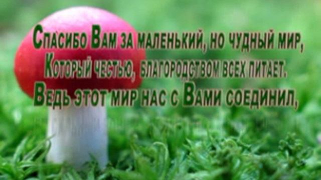 Любимый тренер, с Днём Рождения!!!.mpg смотреть онлайн