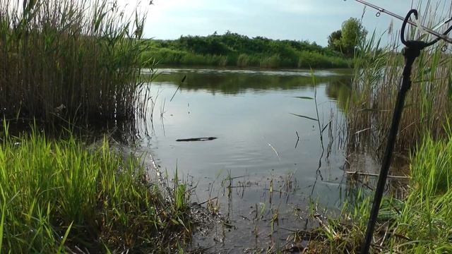 РЫБАЛКА НА РЕКЕ МОКРЫЙ ЕЛАНЧИК . Ростовская область Неклиновский район смотреть онлайн