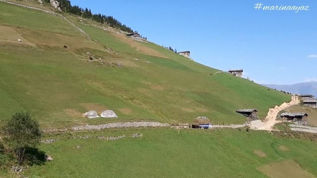 ЭДУАРД АСАДОВ~ДОРОЖИТЕ СЧАСТЬЕМ,ДОРОЖИТЕ!~РАБОТАЕМ СО СВЕКРОВЬЮ~ДАРЫ ОСЕНИ В ТУРЦИИ~НАШЛИ ДОМ В ЛЕС смотреть онлайн