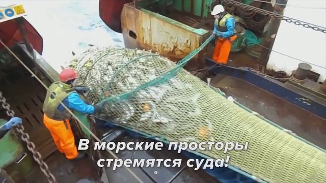 Вступай в мобилизационный людской резерв России!