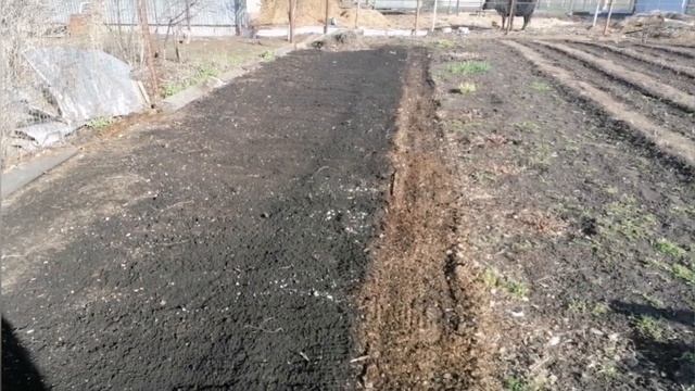 готовим огород к перекопке и закладываю гусиное яйцо в инкубатор смотреть онлайн