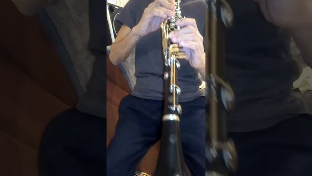 amati-proba clarinet noiembrie-2019 смотреть онлайн