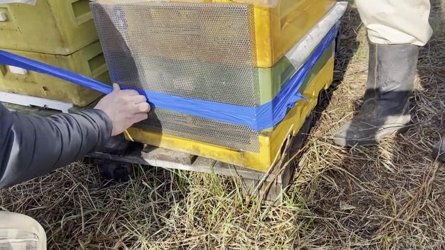 Как не запарить пчел при перевозке и потравах ( Намордник на улей ППУ Нижегородец) смотреть онлайн