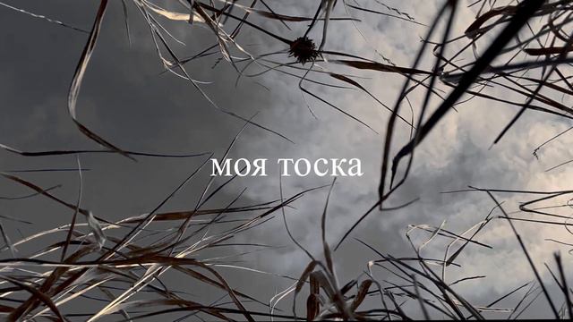 rigel winx - углем наметил на левом боку (lyrics video) смотреть онлайн